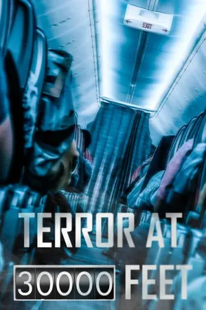 Terror at 30000 Feet Poster