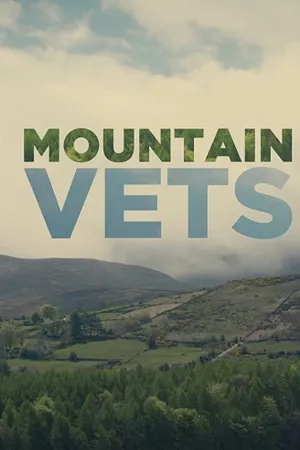 Mountain Vets Poster