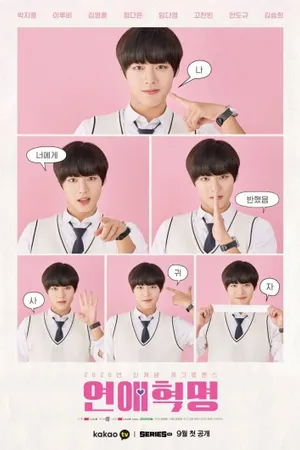 Love Revolution Poster