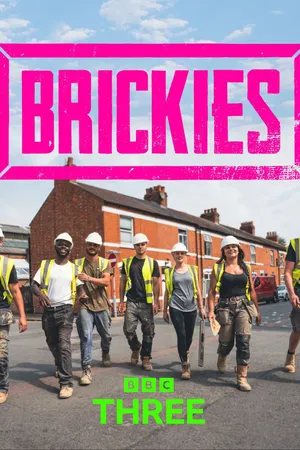 Brickies Poster