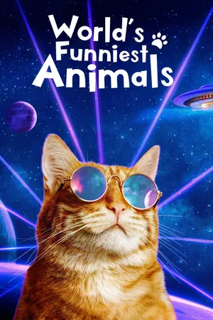 World's Funniest Animals Poster