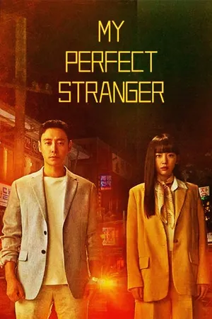 My Perfect Stranger Poster