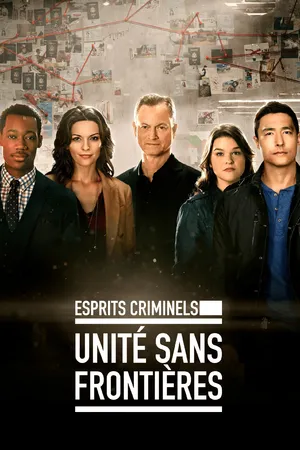 Criminal Minds: Beyond Borders Poster