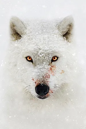 Hostile Planet Poster