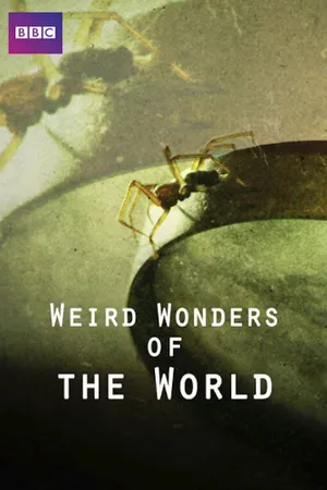 Weird Wonders of the World Poster