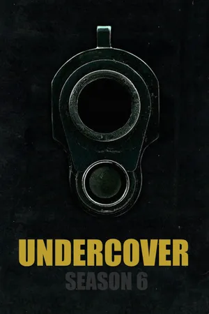 Undercover Poster