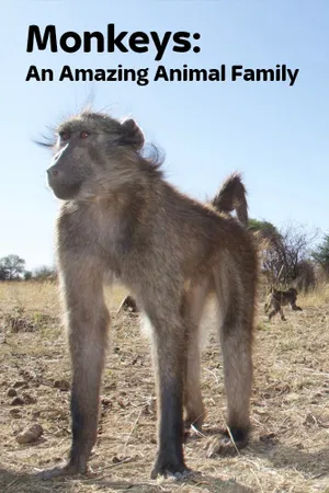 Amazing Monkeys Poster