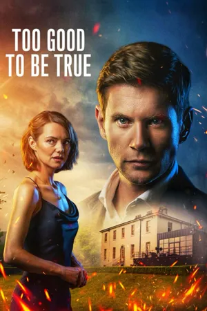 Too Good to Be True Poster