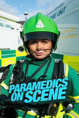 Paramedics on Scene Poster