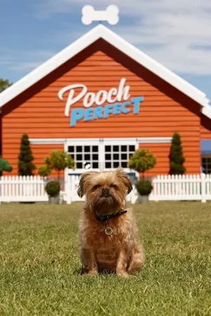 Pooch Perfect Poster