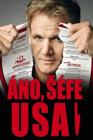 Kitchen Nightmares Poster