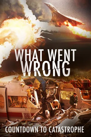 What Went Wrong: Countdown To Catastrophe Poster