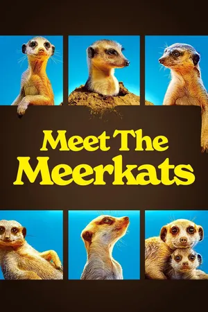 Meet The Meerkats Poster