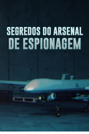 Modern Warfare 2.0: Spy Weapons Declassified Poster