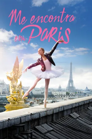 Find Me in Paris Poster