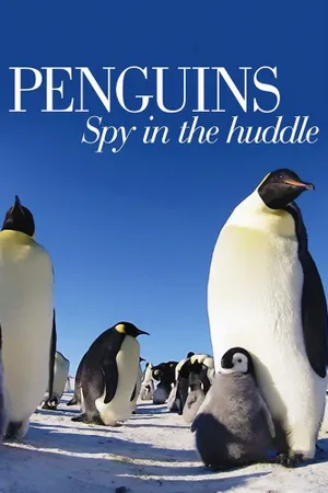 Penguins: Spy in the Huddle Poster