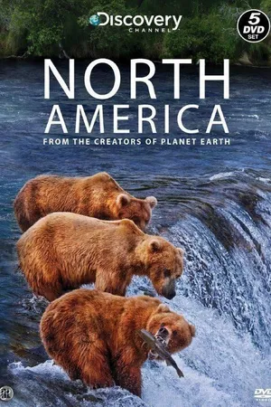 North America Poster
