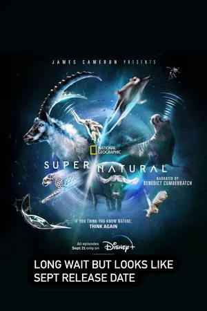 Super/Natural Poster