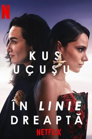 As the Crow Flies Poster