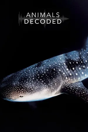 Animals Decoded Poster