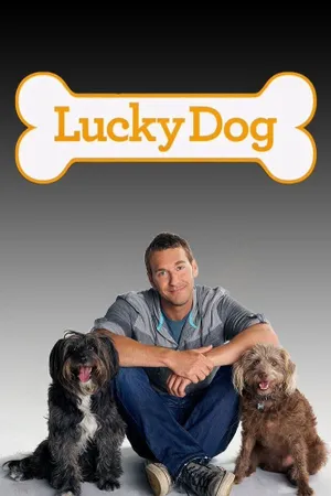 Lucky Dog Poster