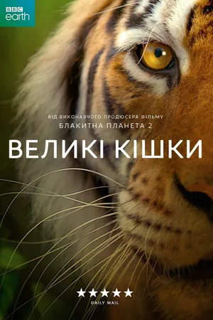 Big Cats Poster