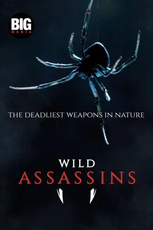 Wild Assassins Poster