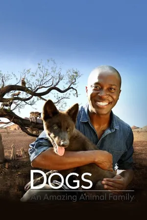 Dogs: An Amazing Animal Family Poster