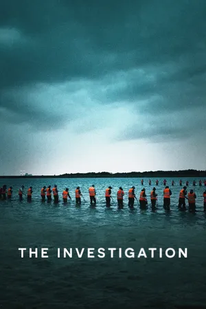 The Investigation Poster