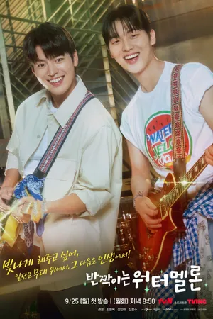 Twinkling Watermelon Poster