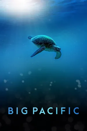 Big Pacific Poster