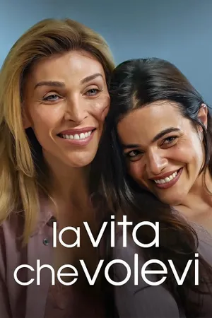 The Life You Wanted Poster