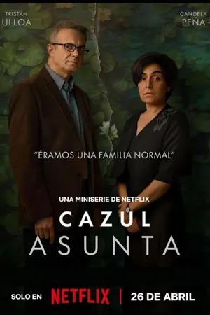 The Asunta Case Poster