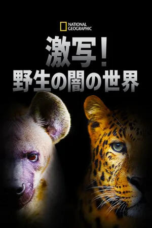 Night Stalkers Poster