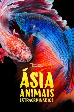Asia's Weirdest Poster