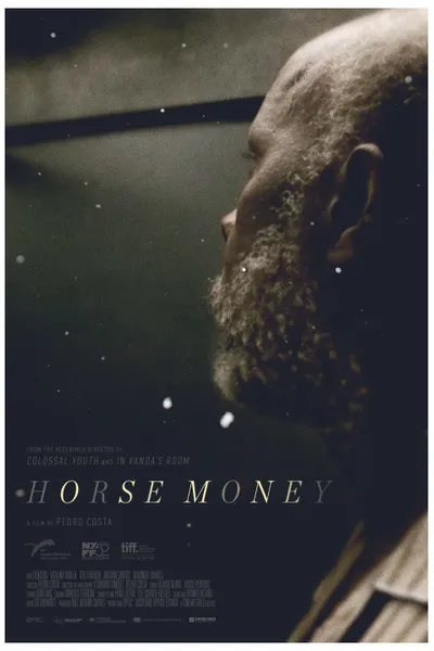 Horse Money
