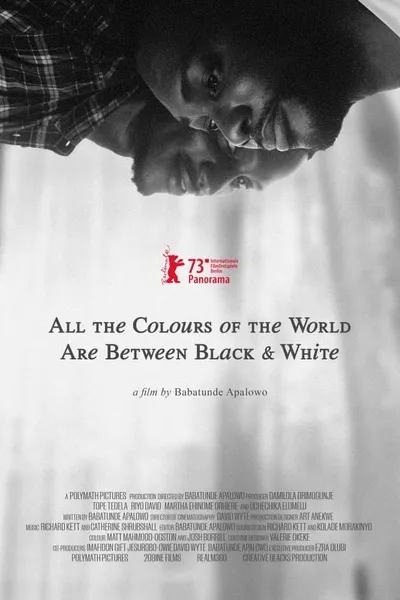 All the Colours of the World Are Between Black and White