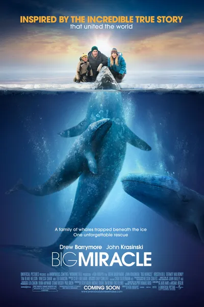 Big Miracle