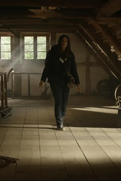 In the Light of the Night