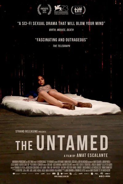 The Untamed