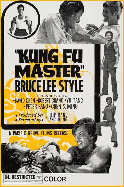Kung Fu Master: Bruce Lee Style
